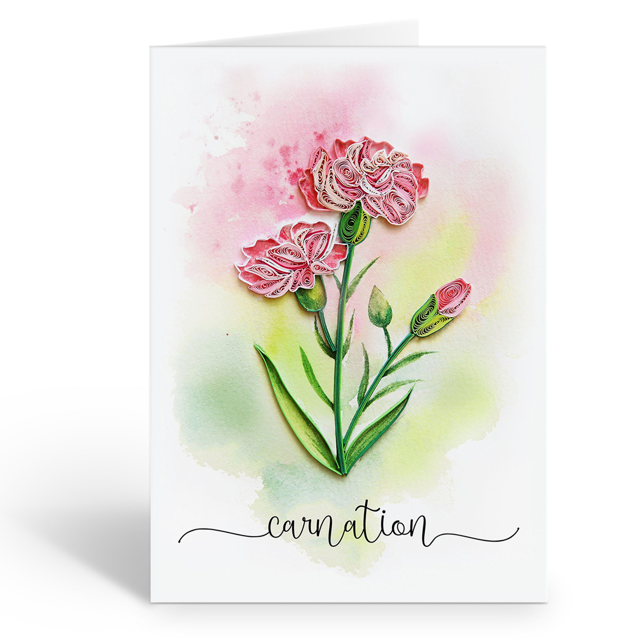 CARNATION FLOWER CARD