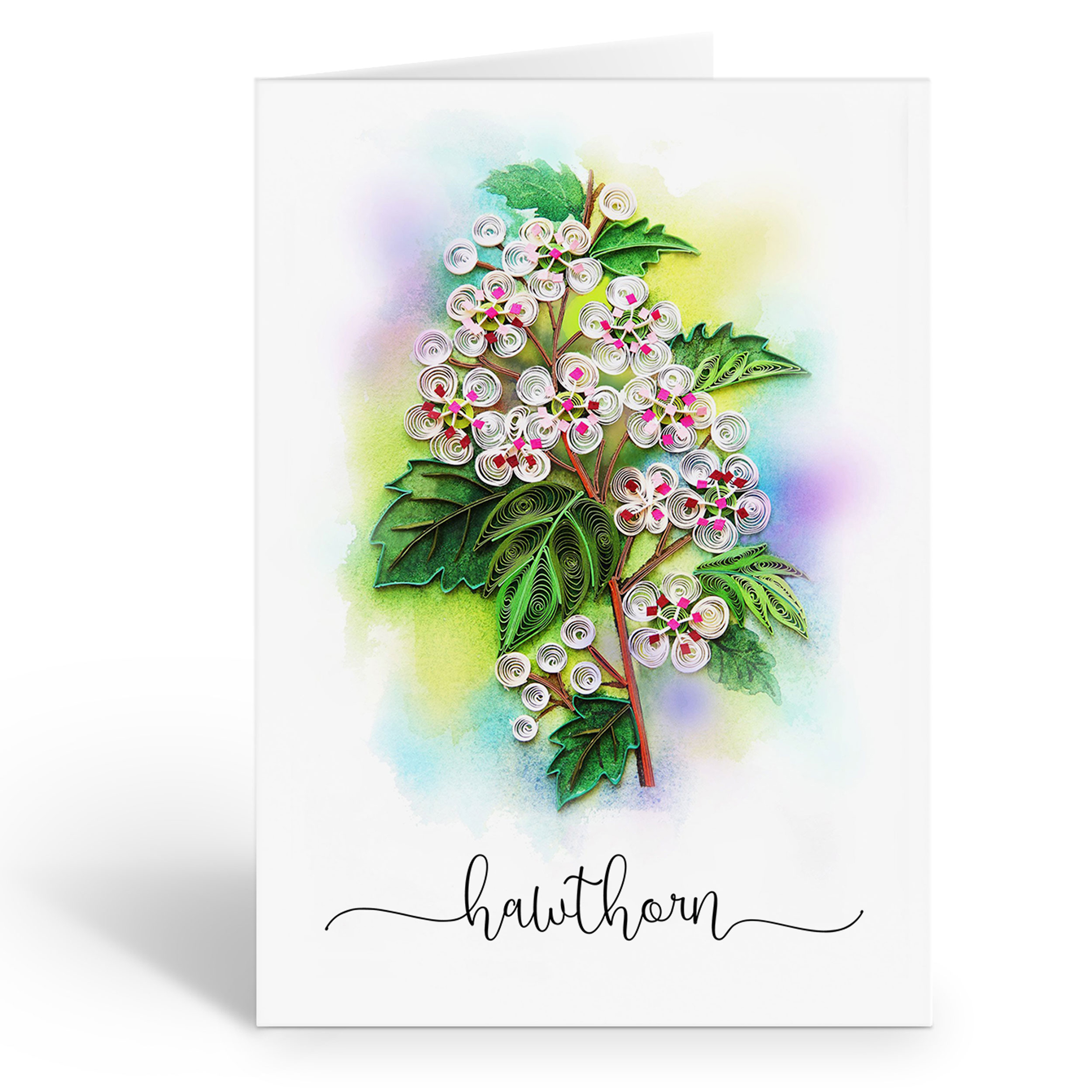 HAWTHORN FLOWER CARD